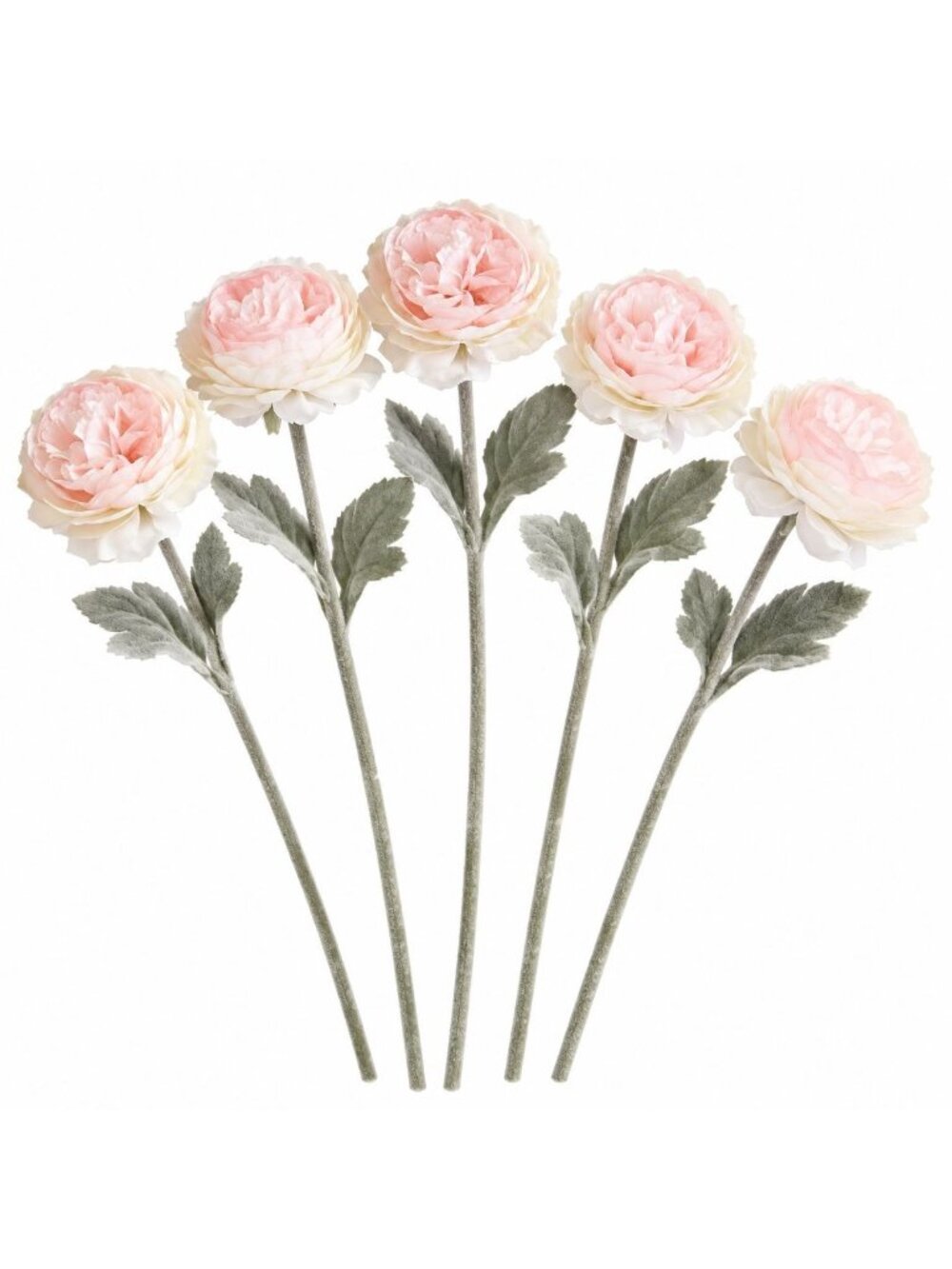 Artificial Peony Ranunculus Style Flowers Set of 5 Pink Blush Cream Silk Stems 1